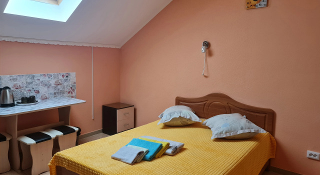 Standard Double Attic room DelfiniYa Mini-Hotel