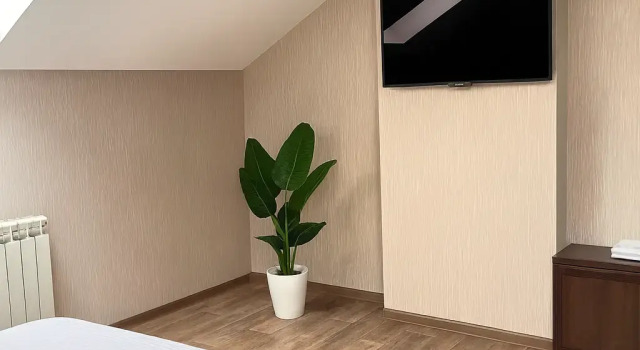 Двухместная студия Мансарда с красивым видом из окна Гостевой дом Eva Apartments