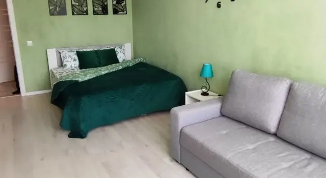 Green Face Flat, Book Apartment Kaliningrad Kaliningrad Region