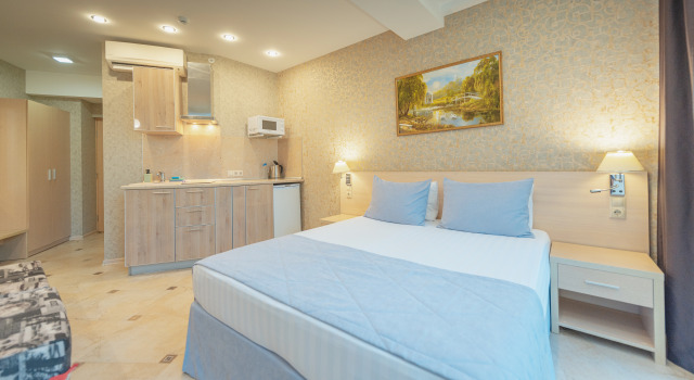 Двухместный номер Comfort с красивым видом из окна Апарт-Отель Эстет