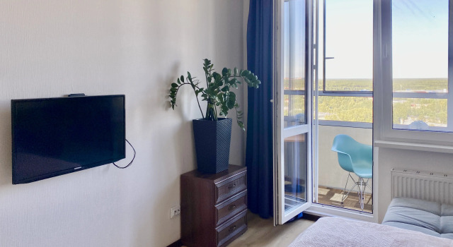 Апартаменты Квартира InRoomSPb на Евгения Шварца 11