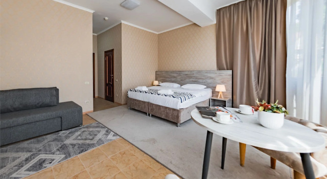 Двухместный номер Comfort с видом на город Отель Bergs Spa and Сonference hotel