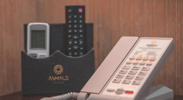 Двухместный номер Standard Asmald Palace Hotel