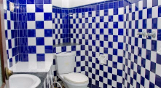 Апартаменты Blue Swan Inn