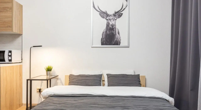RoomyRoom Ogni Goroda Vidovye Apartment, Rezervovat Apartmán Moskovskiy district Petrohrad