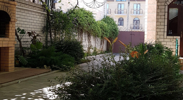 Olga Guest House