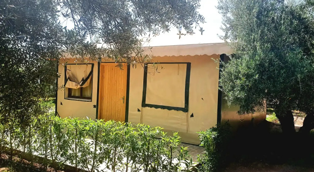 Бунгало Superior Ferme Sidi Safou & Spa