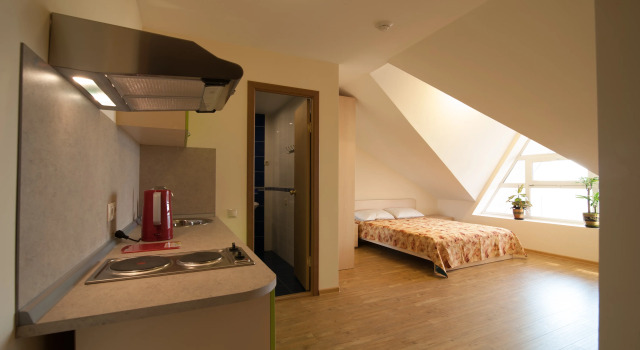 Zelyonyij Bereg Mini-Hotel, Boek Mini-hotel Irkoetsk Irkutsk