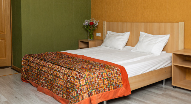 Двухместный номер Comfort Отель Дом Учёных Железнодорожный