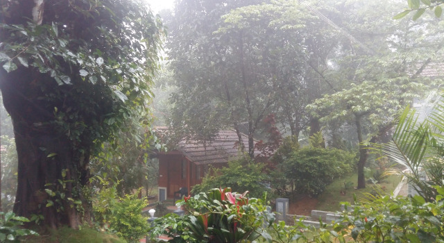 Отель Whispering woods coorg, Забронировать Отель Отели Мадикери 3 звезды, 3*