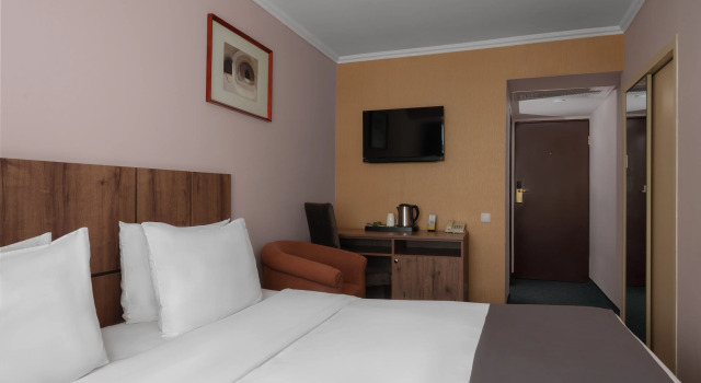 Standardní Jednolůžkový pokoj Ani Plaza Hotel