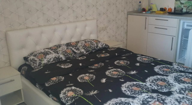 Двухместный номер Standard с балконом и с красивым видом из окна Апартаменты apart Mir