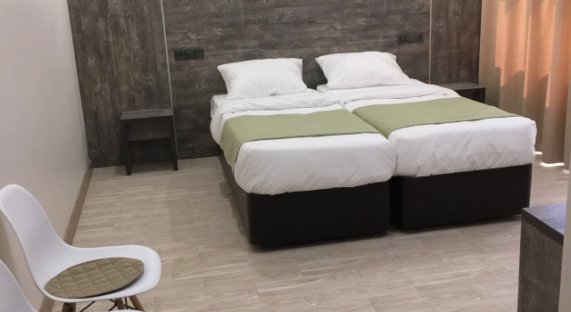 Двухместный номер Comfort Арт-Отель