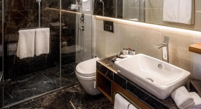 Двухместный номер Deluxe Sheraton Bishkek