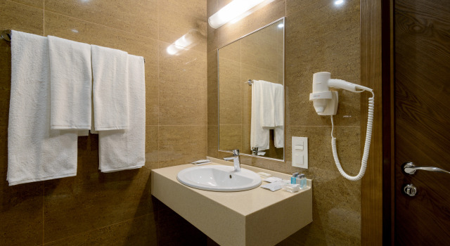 Двухместный люкс Отель PARK WOOD HOTEL