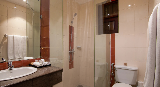 Номер Deluxe Отель Oak Ray Colombo City