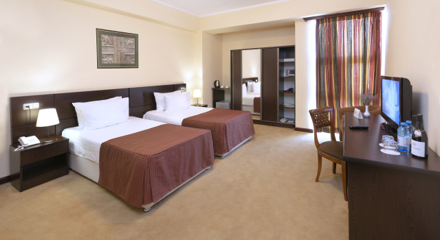 Standard Twin room Ani Central Inn