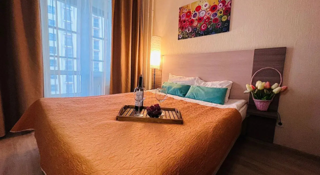 Standartnye Salyut Pulkovo Apartments, Book Lejlighed Moskovskiy district Sankt Petersborg