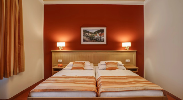 Двухместный номер Comfort с красивым видом из окна Отель Radium Palace