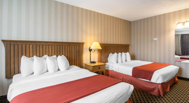 Четырёхместный номер Standard Quality Hotel