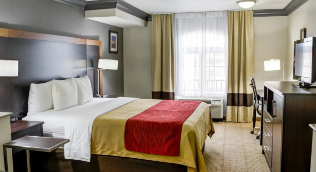 Двухместный люкс Comfort Inn & Suites Near Universal - N Hollywood - Burbank