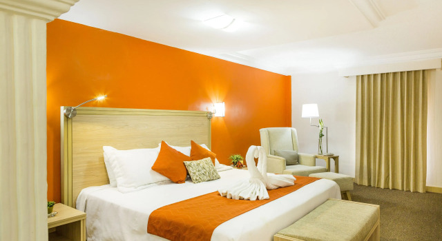 Номер Executive Hotel Flamingo Irapuato