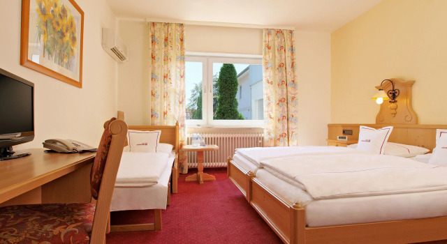 Двухместный номер Standard Hotel Heidelberg