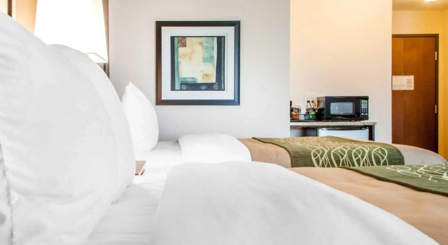Номер Standard Comfort Inn & Suites Woodward