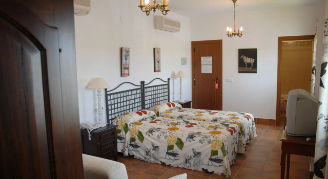 Семейный номер Standard Hotel Valsequillo
