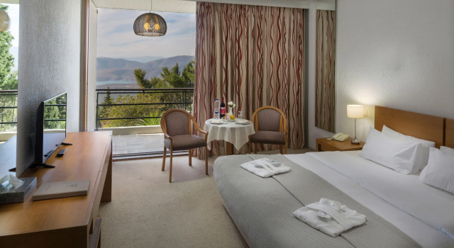 Двухместный номер Classic Amalia Hotel Delphi