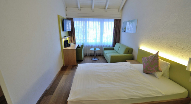 Одноместный номер Standard Hotel Sommerau