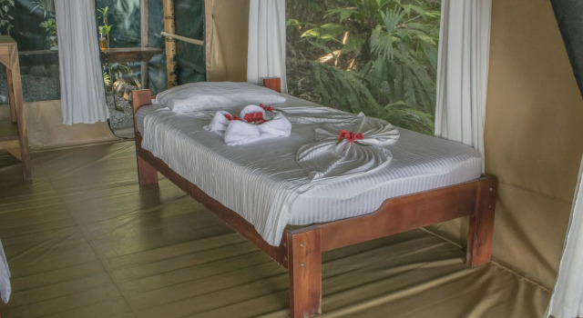 Номер Standard La Leona Eco Lodge