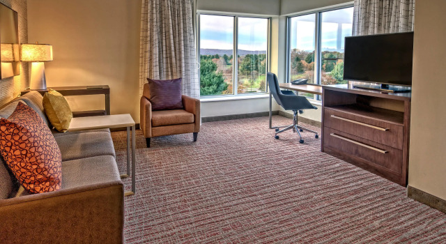 Люкс c 1 комнатой с видом на горы Residence Inn by Marriott Blacksburg-University