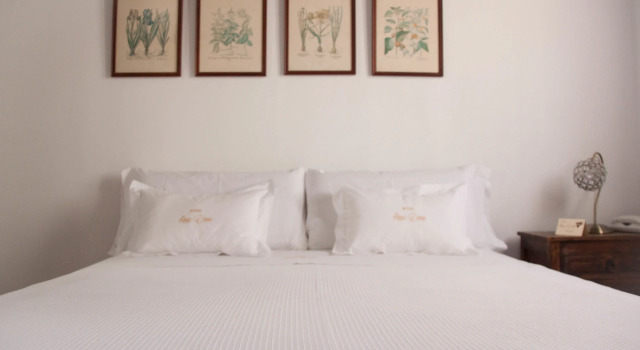 Двухместный номер Standard Hotel Rosa De oro
