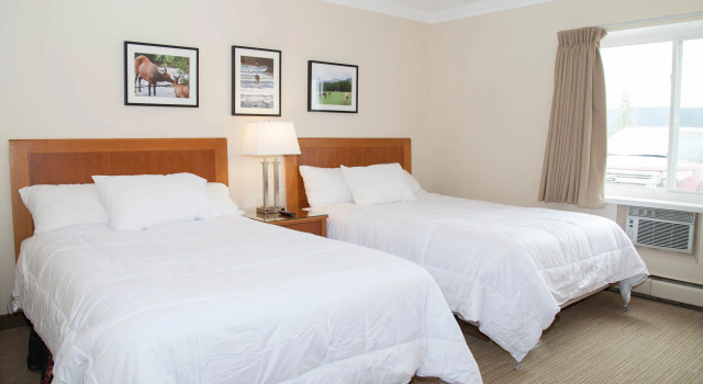 Четырёхместный номер Standard Twin Pine Inn & Suites