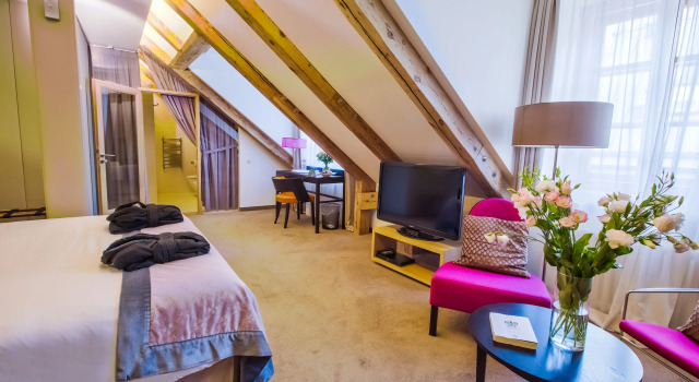 Двухместный номер Deluxe Dome Hotel