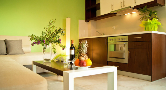 Люкс c 1 комнатой Esthisis Suites Chania