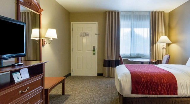 Standard Vierer Zimmer Quality Inn