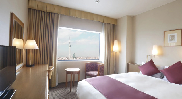 Двухместный номер Premium Dai-ichi Hotel Ryogoku