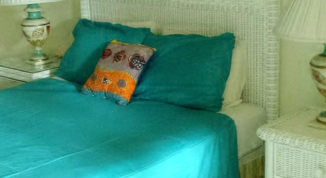 Полулюкс Eldemire's Tropical Island Inn