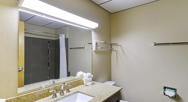 1 Bedroom Suite Quality Suites