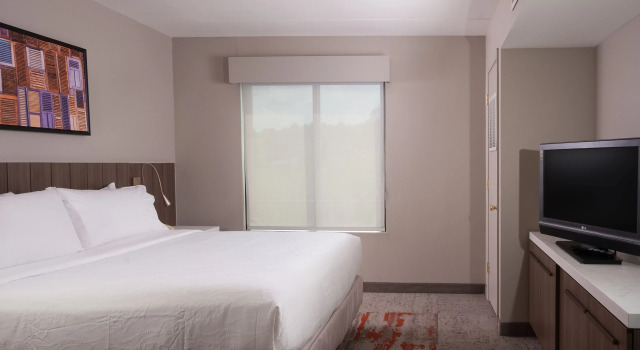 Двухместный полулюкс Hilton Garden Inn Atlanta Airport/Millenium Center