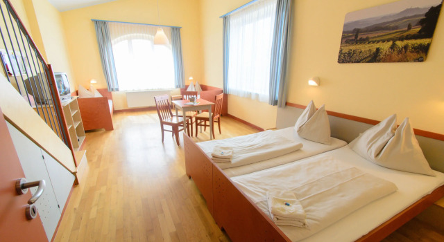 Двухместный номер Standard JUFA Hotel Vulkanland