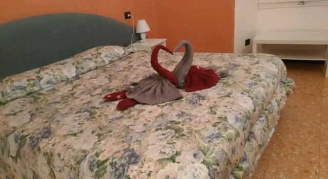 Номер Standard SweetDreams