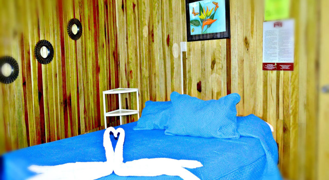 Двухместный номер Economy Cabinas El Pueblo B&B Monteverde