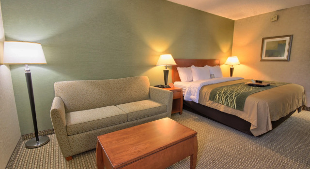 Двухместный номер Standard Comfort Inn Near Greenfield Village