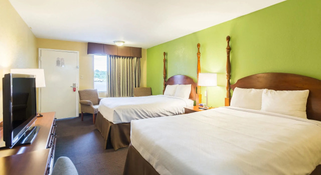 Четырёхместный номер Standard Econo Lodge White Pine Morristown I-81 & I-40 Split