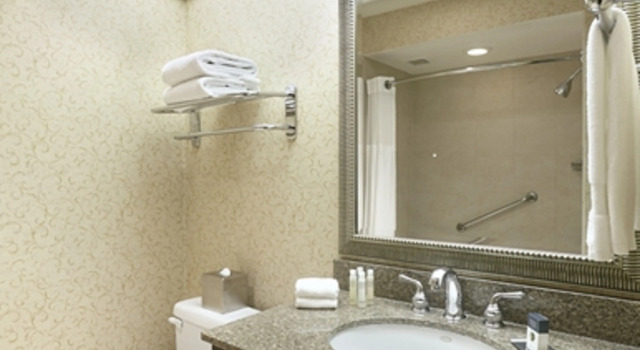 Двухместный номер Standard DoubleTree by Hilton Ontario Airport