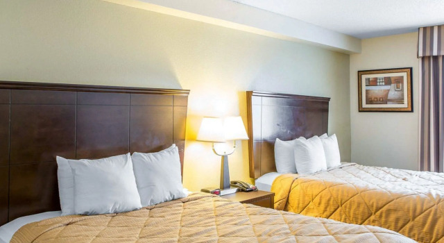 Четырёхместный номер Standard MainStay Suites Knoxville North I-75