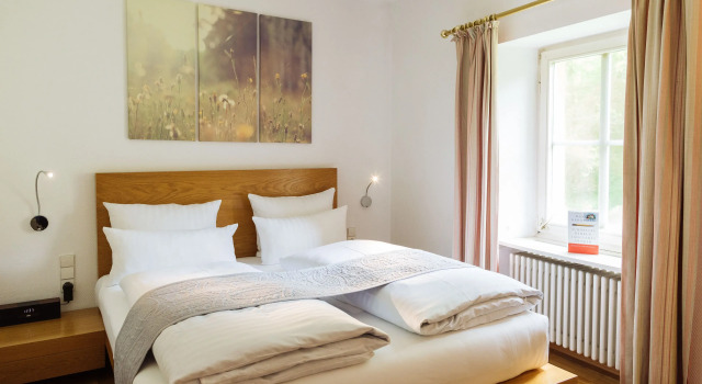 Номер Standard Hotel Schloss Heinsheim
